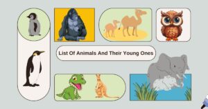 Illustration of various animals and their young ones, including a penguin, gorilla, camel, owl, and elephant.