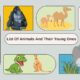 Illustration of various animals and their young ones, including a penguin, gorilla, camel, owl, and elephant.