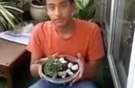 WhatsApp-Image-2021-07-26-at-3.42.22-PM-2