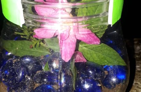 WhatsApp-Image-2021-07-26-at-3.42.22-PM