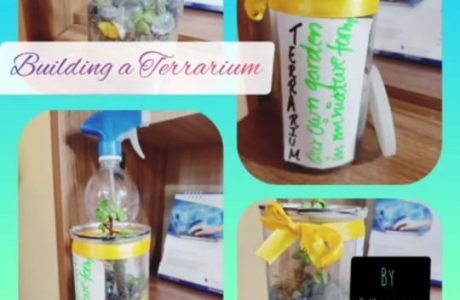 WhatsApp-Image-2021-07-26-at-3.42.23-PM-2