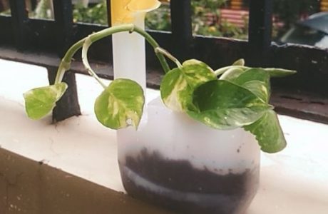 WhatsApp-Image-2021-07-28-at-12.33.15-PM-2