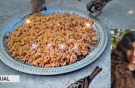 WhatsApp-Image-2021-08-02-at-3.53.00-PM