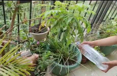 WhatsApp-Image-2021-08-04-at-3.36.51-PM